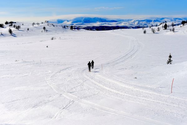 Liapark mot Hallingskarvet